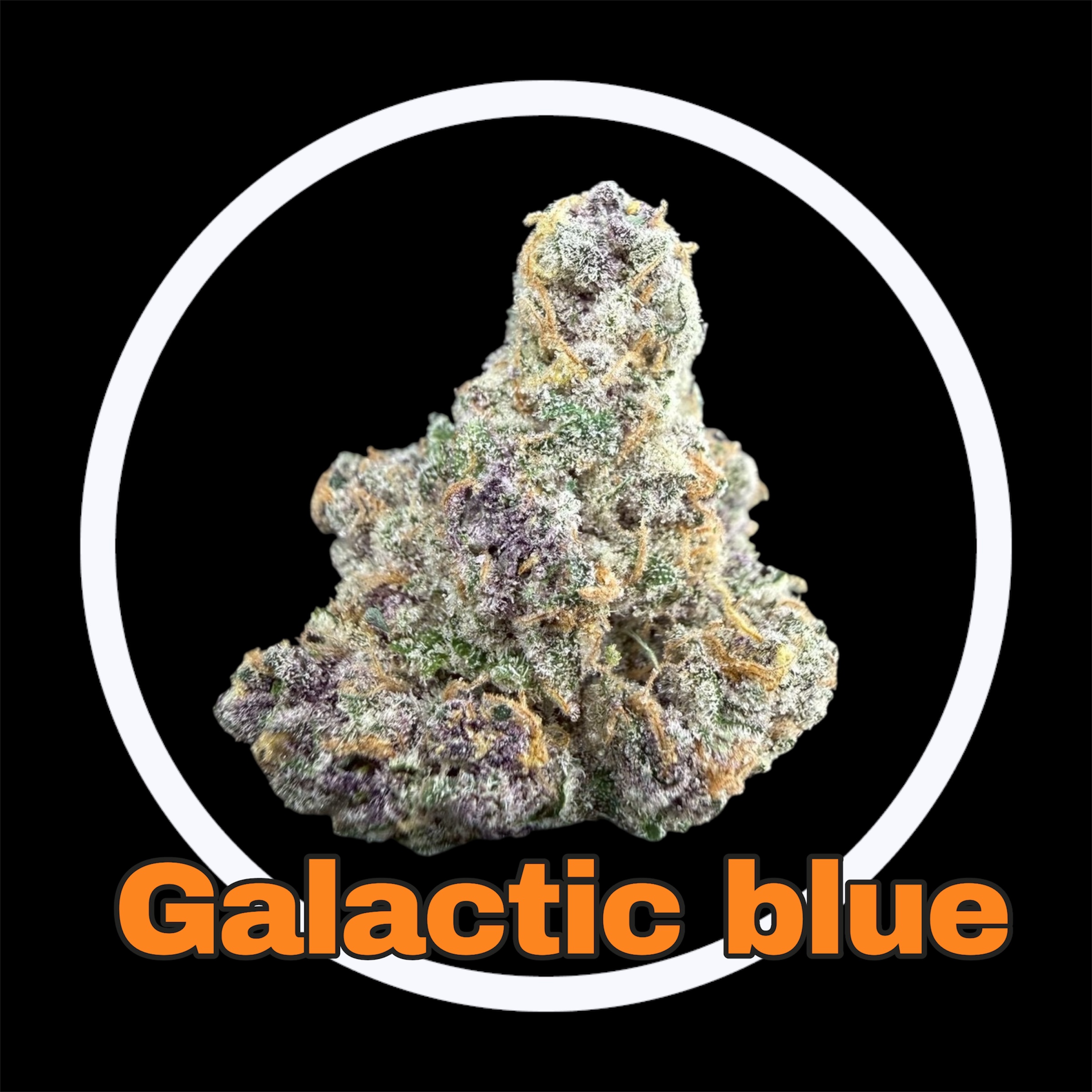 20-03-26 09-27-24pm.jpg